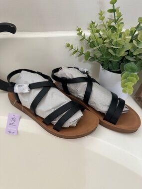 TOP Moda Black Strappy Gladiator Sandals with Brown Footbed